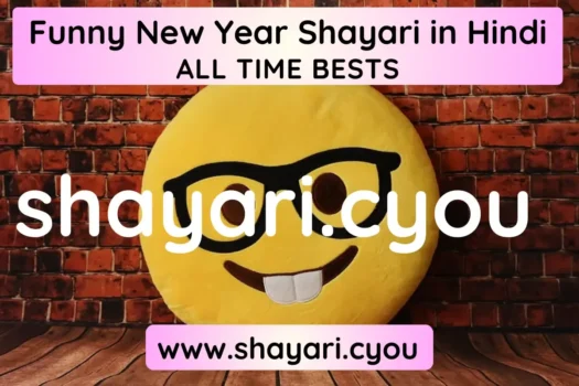 Funny New Year Shayari in Hindi