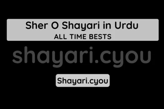 Sher O Shayari in Urdu