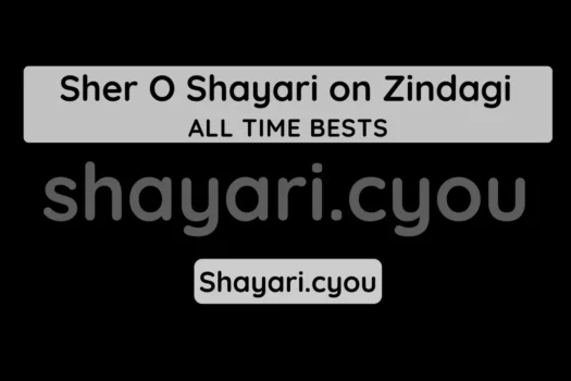 Sher O Shayari on Zindagi