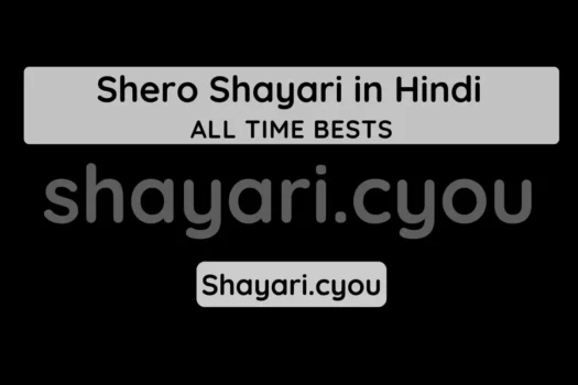 Shero Shayari in Hindi