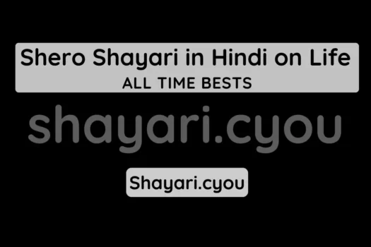 Shero Shayari in Hindi on Life