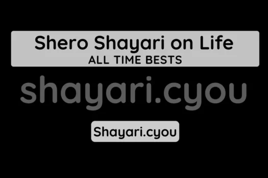 Shero Shayari on Life