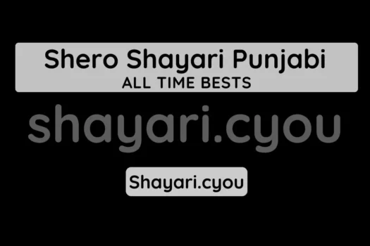 Shero Shayari Punjabi