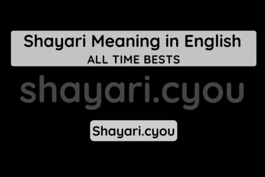 Shayari Meaning in English