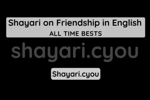 Shayari on Friendship in English