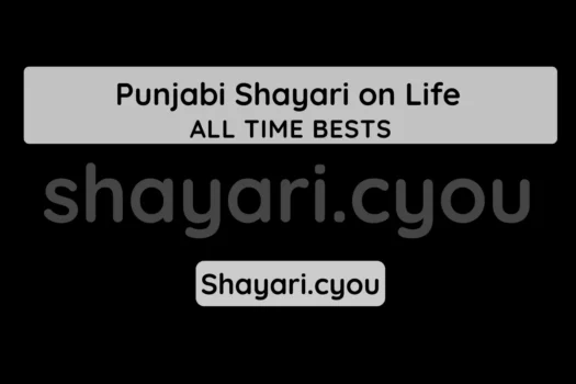 Punjabi Shayari on Life
