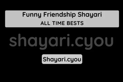 Funny Friendship Shayari