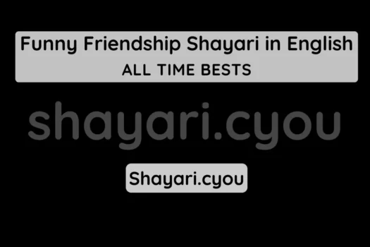 Funny Friendship Shayari in English