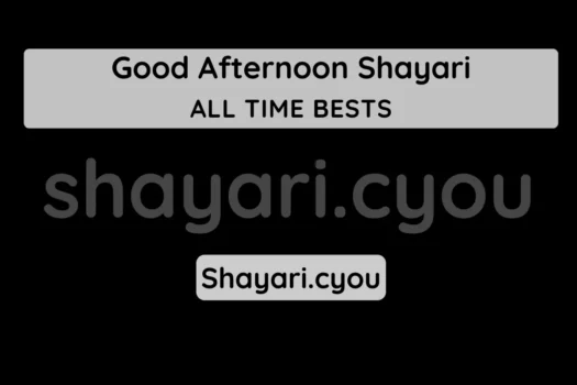Good Afternoon Shayari