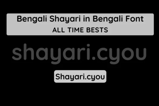 Bengali Shayari in Bengali Font
