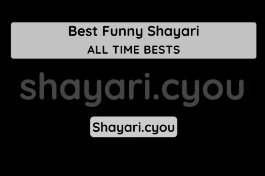Best Funny Shayari