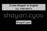 2 Line Shayari in English