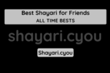 Best Shayari for Friends