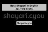Best Shayari in English