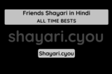 Friends Shayari in Hindi