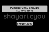 Punjabi Funny Shayari