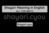 Shayari Meaning in English