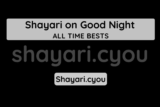 Shayari on Good Night