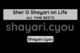 Sher O Shayari on Life