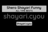 Shero Shayari Funny