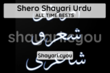 Shero Shayari Urdu
