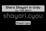 Shero Shayari in Urdu