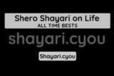 Shero Shayari on Life