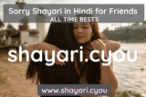 Sorry Shayari in Hindi for Friends