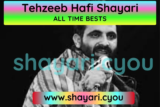 Tehzeeb Hafi Shayari