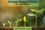 Zindagi Shayari 2 Lines