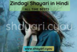 Zindagi Shayari in Hindi