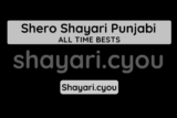 Shero Shayari Punjabi